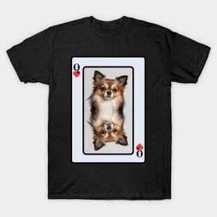 Chihuahua Queen of Heats T-Shirt